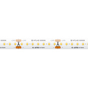 American Lighting Trulux 16.4 Ft High Output HD 24V Tape Light - 5000K White