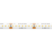American Lighting Trulux 16.4 Ft High Output HD 24V Tape Light - 3500K White