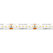 American Lighting Trulux 16.4 Ft High Output HD 24V Tape Light - 4000K White