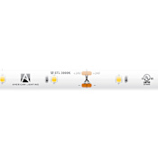 American Lighting Trulux 100 Ft Standard Grade 24V Tape Light - 3000K White