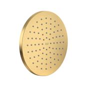 American Standard Studio S 1.8 GPM Rain Shower Head Brushed Cool Sunrise
