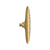 American Standard Spectra 1.8 GPM Single Function Shower Head Brushed Cool Sunrise