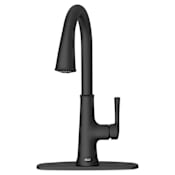 American Standard Renate 1.5 GPM Single Hole Pull Down Kitchen Faucet - Includes Escutcheon Matte Black