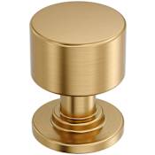 Amerock Balon 1 Inch Smooth Mushroom Cabinet Knob Champagne Bronze