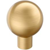 Amerock Coble 1-1/8 Inch Smooth Round Cabinet Knob Champagne Bronze