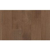 Anderson Tuftex Sample Only of AA851 Argan