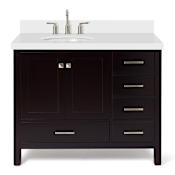 Ariel Cambridge 43" Free Standing Single Basin Vanity Set with Cabinet and Quartz Vanity Top Espresso
