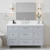 Ariel Monroe 54" Free Standing Single Basin Vanity Set with Cabinet and Quartz Vanity Top Grey