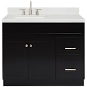Ariel Hamlet 42" Free Standing Single Basin Vanity Set with Cabinet, Quartz Vanity Top, and Left Offset Rectangular Bathroom Sink Black