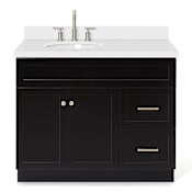Ariel Hamlet 42" Free Standing Single Basin Vanity Set with Cabinet and Quartz Vanity Top Black / Pure White Top