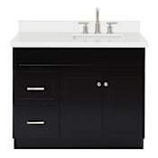 Ariel Hamlet 42" Free Standing Single Basin Vanity Set with Cabinet and Quartz Vanity Top Black / Pure White Top