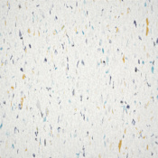 Armstrong Flooring Imperial Texture 12" x 12" Smooth Vinyl Flooring with High Gloss - Sold by Carton (45 SF/Carton) Harlequin White