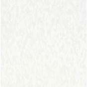 Armstrong Flooring Imperial Texture 12" x 12" Smooth Vinyl Flooring with High Gloss - Sold by Carton (45 SF/Carton) White Out