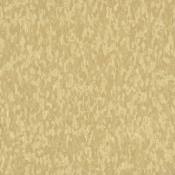 Armstrong Flooring Imperial Texture 12" x 12" Smooth Vinyl Flooring with High Gloss - Sold by Carton (45 SF/Carton) Honey