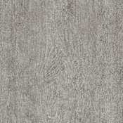 Armstrong Flooring Sample Only of D7199461-A-ENCHANTEDFOREST-2424 Forest Fog
