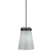 Artcraft Lighting Dahlia 12" Wide Pendant Black