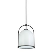 Artcraft Lighting Dahlia 12" Wide Pendant Black