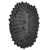 Arteriors Neushoorn 20" Tall Wall Sconce Ebony
