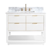 Avanity Allie 42" Free Standing Single Basin Vanity Set with Wood Cabinet and Marble Vanity Top White