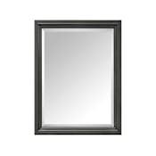 Avanity Thompson 24" W x 30" H Rectangular Framed Bathroom Wall Mirror Charcoal Glaze
