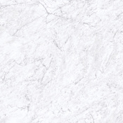 Bedrosians Magnifica The Thirties - 30" x 30" Square Floor and Wall Tile - Polished Visual - Sold by Carton (12.11 SF/Carton) Bianco Carrara