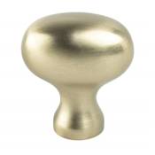 Berenson Transitional Advantage Three 1-1/8 Inch Oval Egg Cabinet Knob / Drawer Knob Champagne