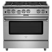 BlueStar Platinum Series 36 Inch Gas Range Stainless Steel