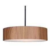 Canarm Dexter 3 Light 16" Wide Pendant Matte Black
