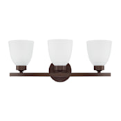 Capital Lighting Jameson 3 Light 21" Wide Bathroom Vanity Light Bronze