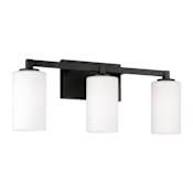 Capital Lighting Ravenwood 3 Light 23" Wide Vanity Light Black Iron
