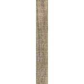 COREtec Plus 7 Collection - 7" Luxury Vinyl Plank Sold by Carton (38.24 SF per Carton) Nantucket Oak