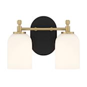 Craftmade Council 2 Light 13" Wide Vanity Light Flat Black / Satin Brass