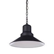Craftmade Singleton 14" Wide Outdoor Pendant Midnight