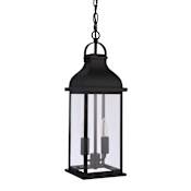 Craftmade Bent Tree 2 Light 7" Wide Outdoor Mini Pendant Midnight