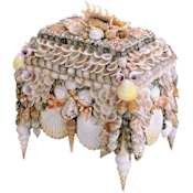 Currey and Company Boardwalk 10"W Shell Jewelry Box Natural Shell