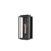 Currey and Company Wright 20" Tall LED Outdoor Wall Sconce Midnight Black / Clear Seeded