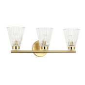 Dainolite Vienna 3 Light 21" Wide Vanity Light Aged Brass / Clear