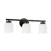 Dainolite Vonda 3 Light 21" Wide LED Vanity Light Matte Black