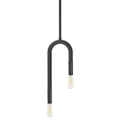Dainolite Wand 2 Light 5" Wide Mini Pendant Matte Black