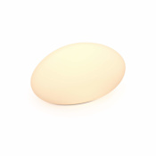 DALS Lighting Single Kayu 15" Wide 24V LED Flood Light White