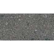 Daltile Sample Only of AS30601P Emissary
