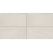 Daltile Sample Only of BA1224P White
