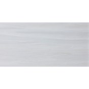 Daltile Sample Only of CP1014PV3 Visionary