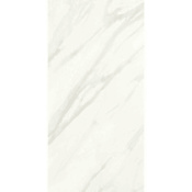 Daltile Sample Only of FL1014P Carrara