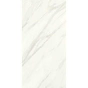 Daltile Sample Only of FL1224WP Carrara