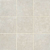 Daltile Sample Only of FL1212P Argento