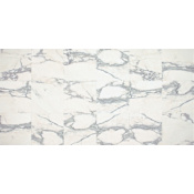 Daltile Sample Only of M1212U Calacatta Gold