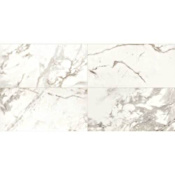 Daltile Sample Only of MA81224MTP Calacatta