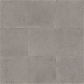 Daltile Portfolio - 12" x 24" Rectangle Floor and Wall Tile - Unpolished Visual - Sold by Carton (17.02 SF/Carton) Ash Gray