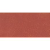 Daltile Sample Only of PFV1224A1P Crimson Red